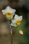 Dcim5561/DSC_2081