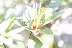 Dcim5561/DSC_2105