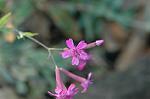 Dcim5561/DSC_2165