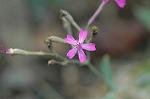 Dcim5561/DSC_2166