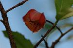 Dcim5562/DSC_2243