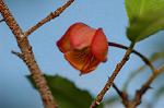 Dcim5562/DSC_2248