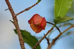 Dcim5562/DSC_2251