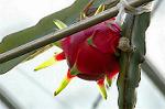 Dcim5562/DSC_2263