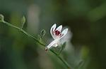Dcim5562/DSC_2274