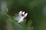 Dcim5562/DSC_2275