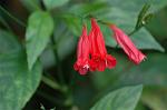 Dcim5562/DSC_2281
