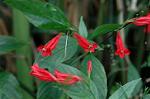Dcim5562/DSC_2282
