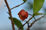 Dcim5562/DSC_2290