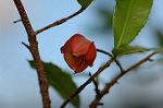 Dcim5562/DSC_2291