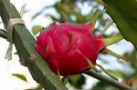 Dcim5562/DSC_2304