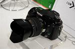 Dcim5564/DSC_3609