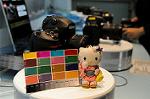 Dcim5567/DSC_2532