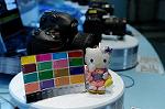 Dcim5567/DSC_2536