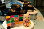 Dcim5567/DSC_2542