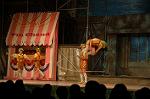 Dcim5569/DSC_2545