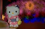 Dcim5570/DSC_2754