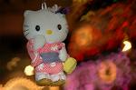Dcim5570/DSC_2757