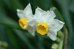 Dcim5587/DSC_2837