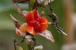 Dcim5587/DSC_2878