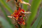 Dcim5587/DSC_2882