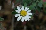 Dcim5587/DSC_2897