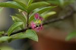Dcim5587/DSC_2932