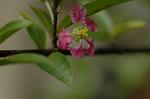 Dcim5587/DSC_2933