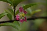 Dcim5587/DSC_2934
