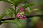 Dcim5587/DSC_2935
