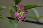Dcim5587/DSC_2938