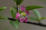 Dcim5587/DSC_2940