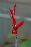 Dcim5587/DSC_2948