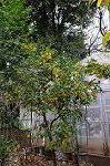 Dcim5588/DSC_5660