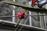 Dcim5588/DSC_5686