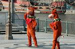 Dcim5589/DSC_3098