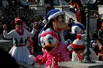 Dcim5589/DSC_3102
