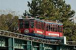 Dcim5590/DSC_3151