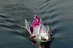 Dcim5590/DSC_3219