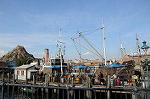 Dcim5596/DSC_6218