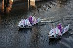 Dcim5596/DSC_6325