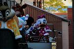 Dcim5599/DSC_6584