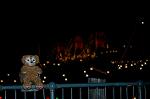 Dcim5607/DSC_1272
