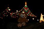 Dcim5607/DSC_1284