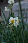 Dcim5608/DSC_3444