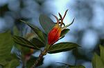 Dcim5608/DSC_3451