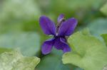 Dcim5608/DSC_3457