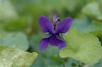 Dcim5608/DSC_3459