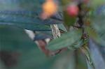 Dcim5608/DSC_3470