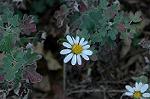 Dcim5608/DSC_3524